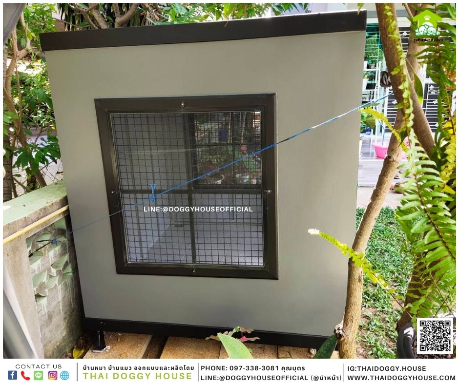 บ้านหมา Box style