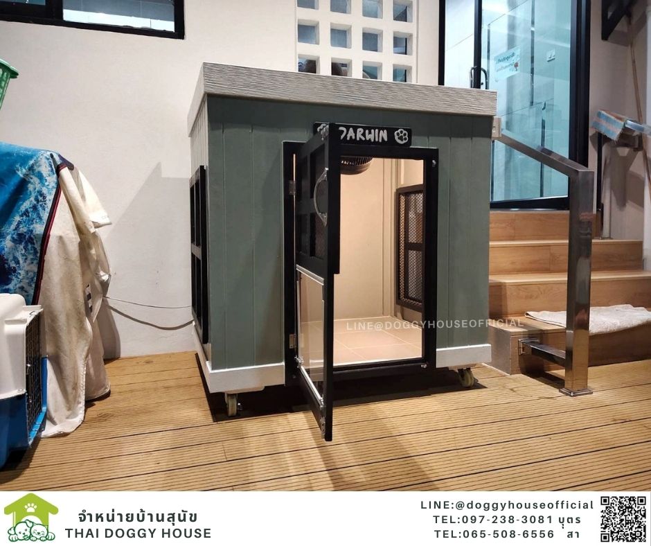 บ้านหมา ทรงBOX