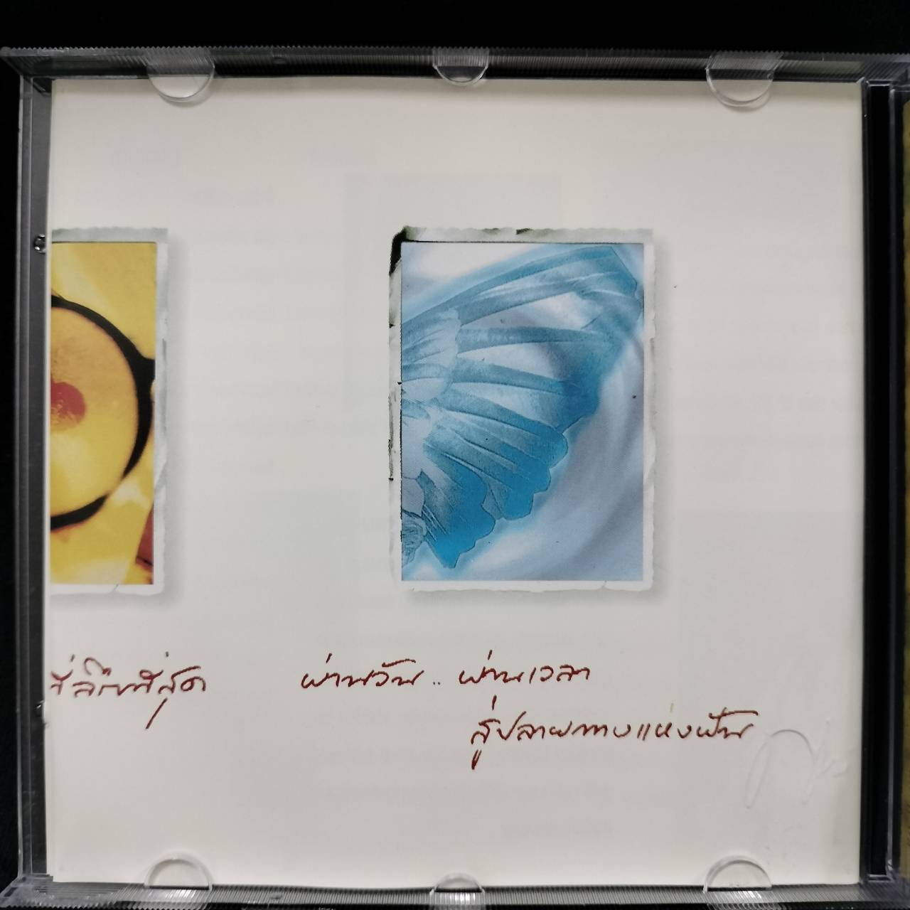 ปุ้ม อรวรรณ เย็นพูนสุข – ปลายทางแห่งฝัน / แผ่นดี