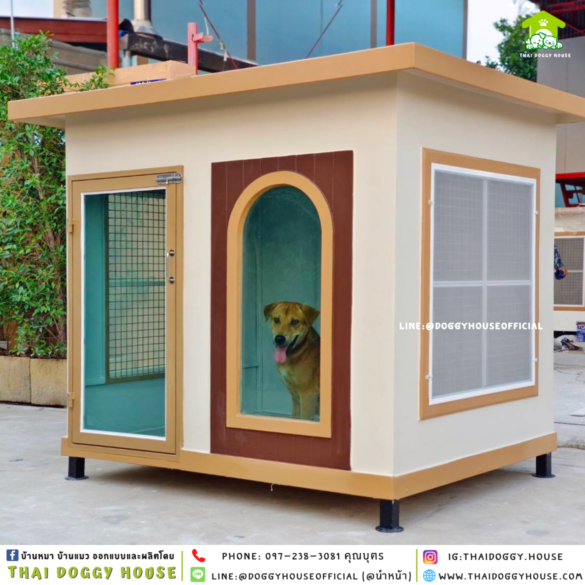 บ้านหมา แบบบ้าน 𝐁𝐎𝐗 𝐒𝐓𝐘𝐋𝐄