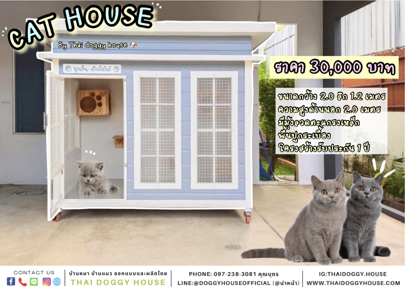 บ้านแมว แบบบ้าน วินเทจสไตล์