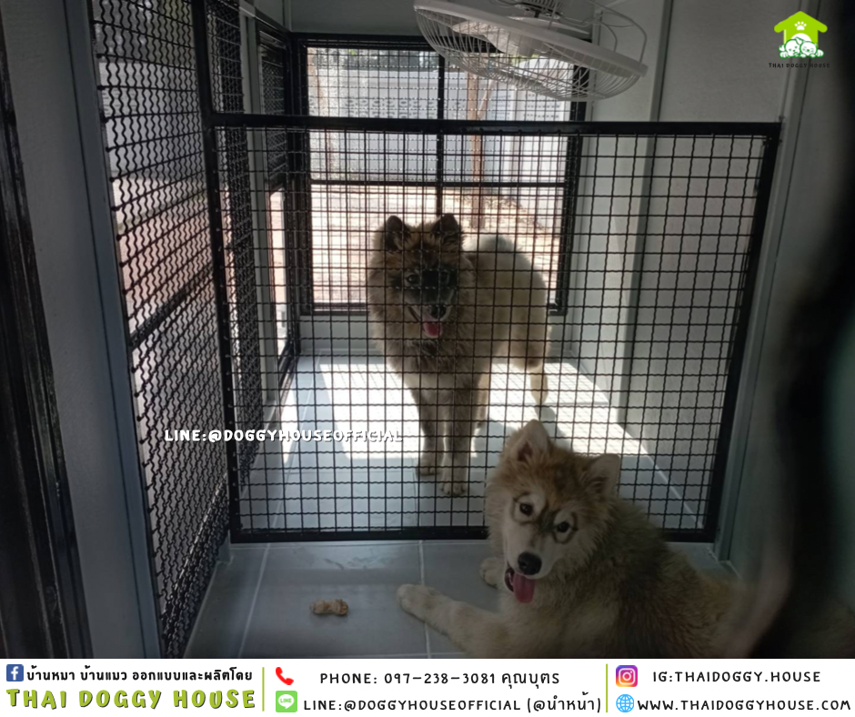 บ้านหมา แบบบ้าน 𝑩𝑶𝑿 𝑺𝑻𝒀𝑳𝑬