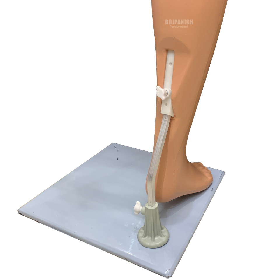 หุ่นเต็มตัวมีหน้าช