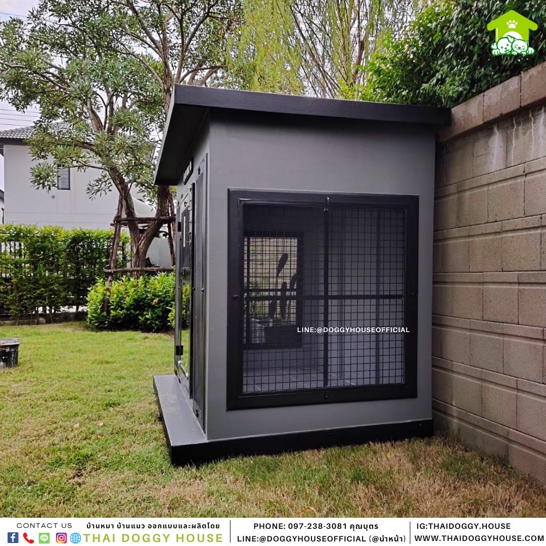 บ้านหมา แบบบ้าน Box Style