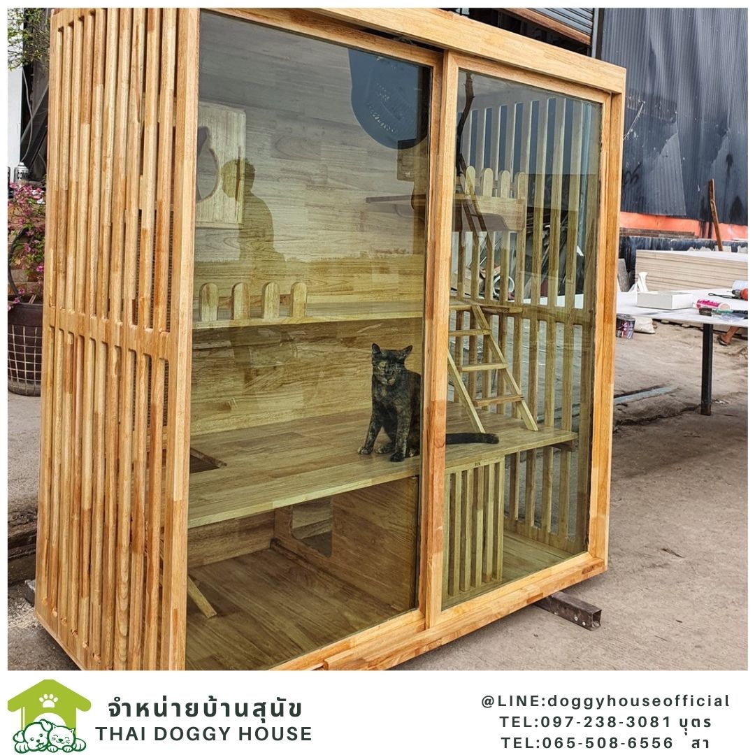 บ้านแมว สไตล์มินิมอล