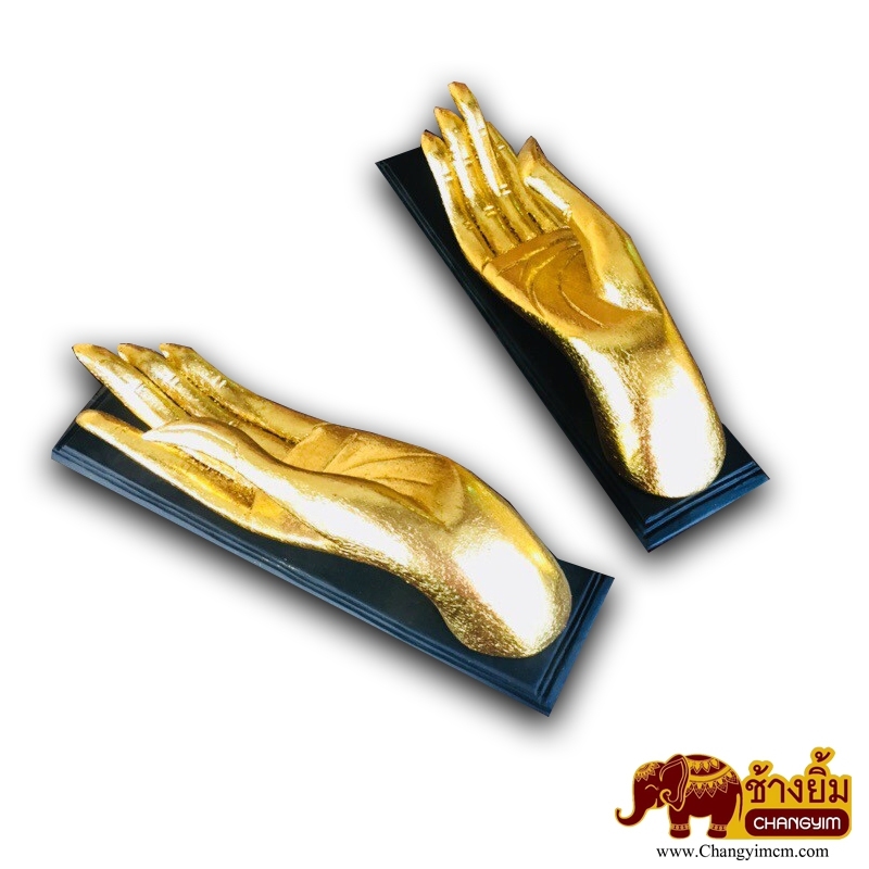 มือหงายติดผนัง