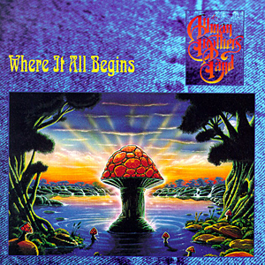 The Allman Brothers Band – Where It All Begins / JAPAN / แผ่นสวย