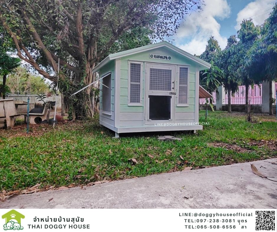 บ้านหมา ทรงจั่ว