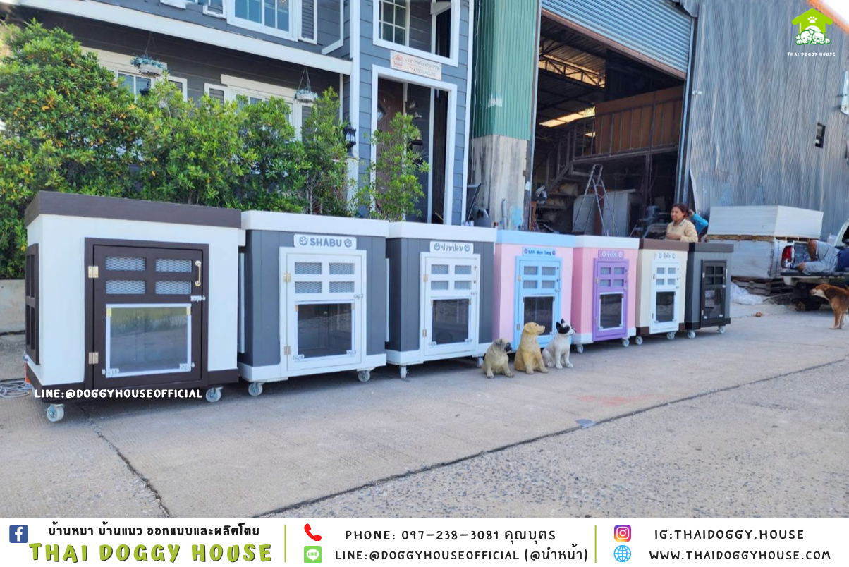 บ้านหมา ทรง 𝐁𝐎𝐗