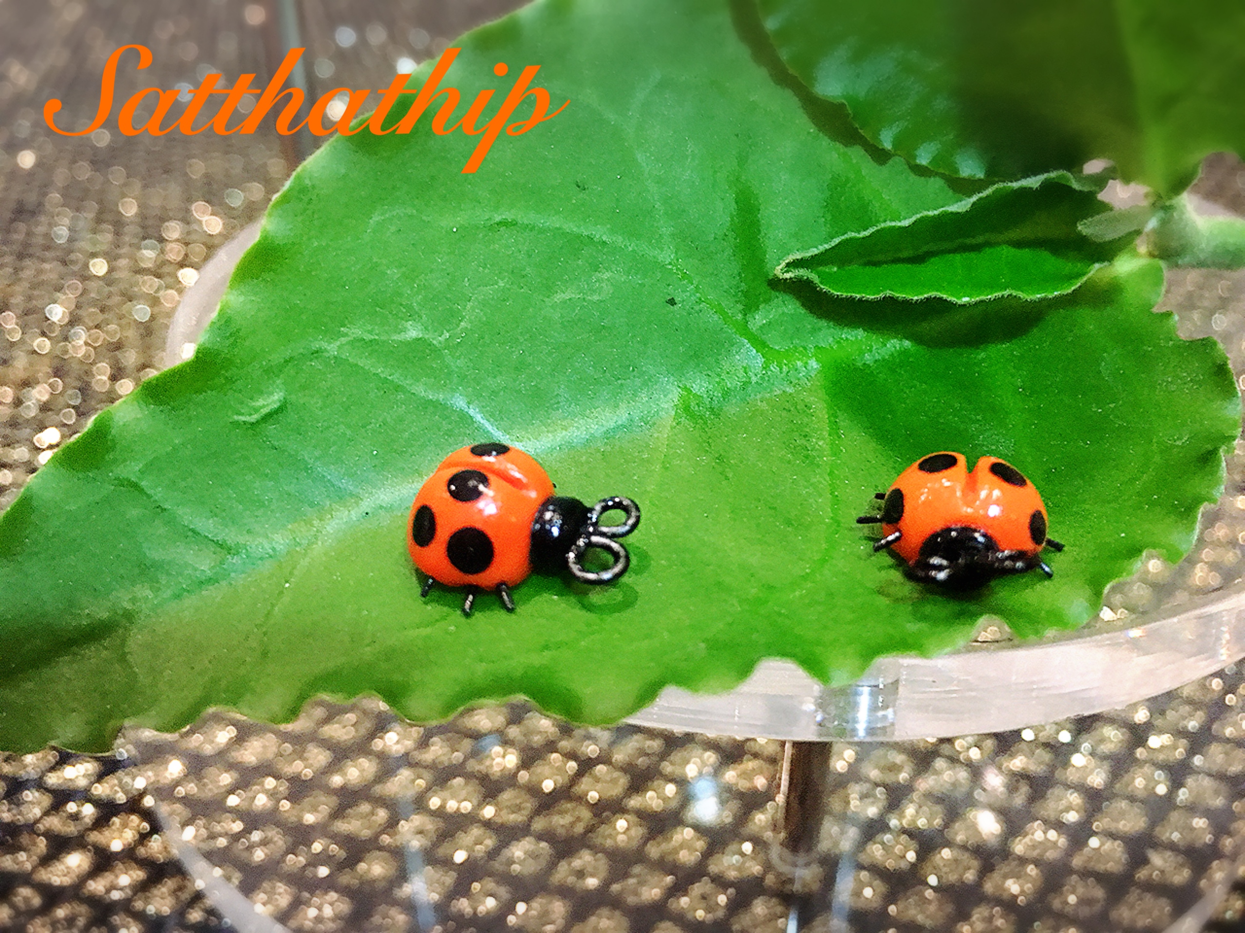 เต่าทอง - โมเดลเต่าทอง - เต่าทองดินปั้น - โมเดลสัตว์ - โมเดลสัตว์เลี้ยง - ตุ๊กตาสัตว์ดินปั้น - Animal model