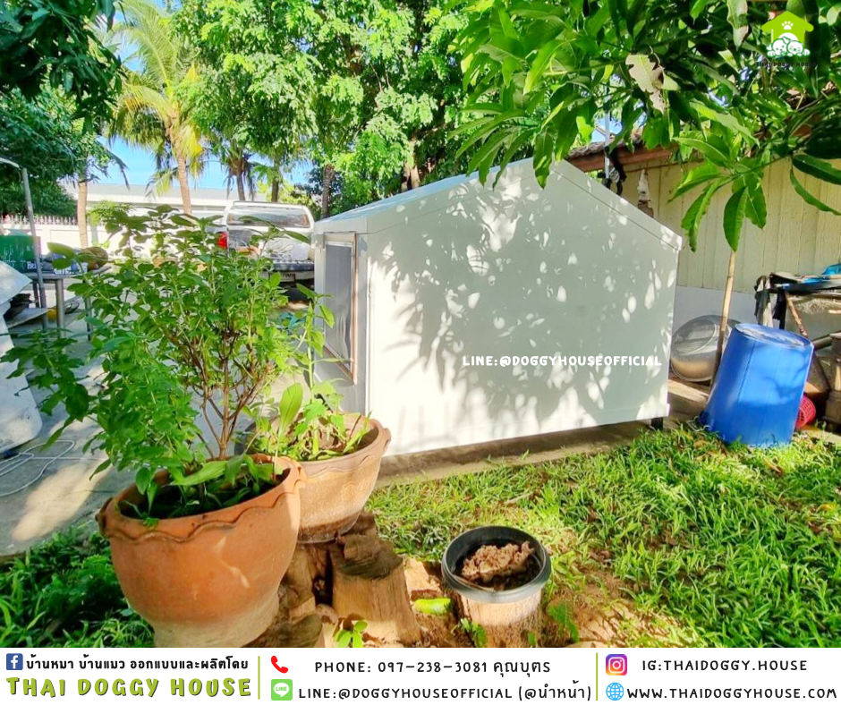 บ้านหมา แบบบ้าน 𝑵𝒐𝒓𝒅𝒊𝒄 𝒔𝒕𝒚𝒍𝒆