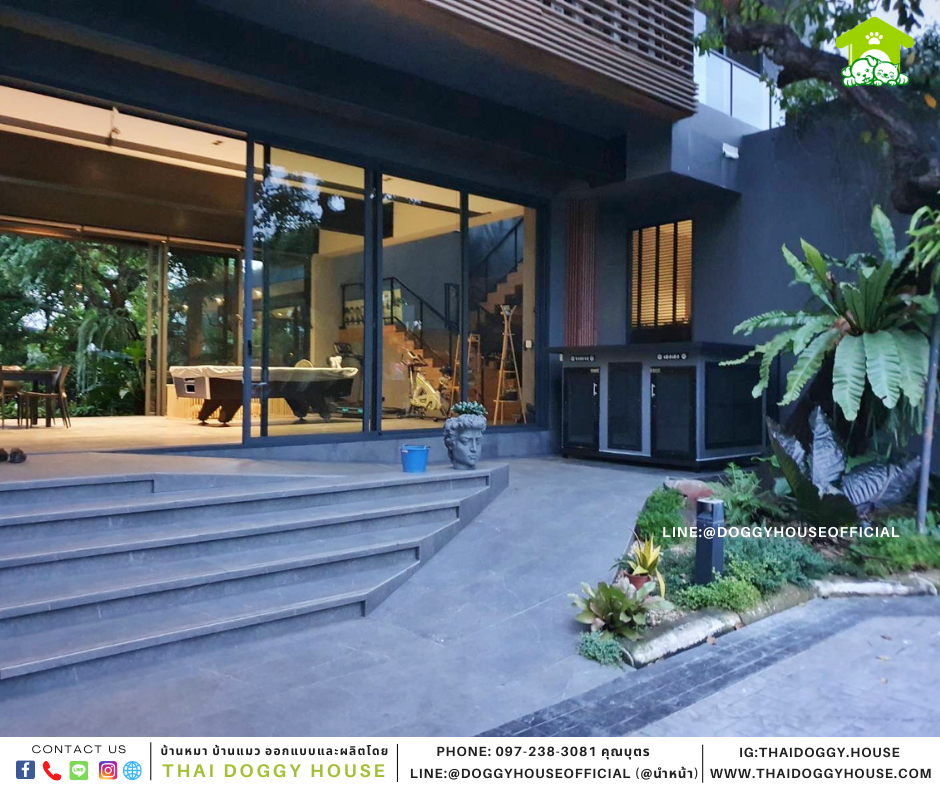 บ้านหมา 2ประตู Box style