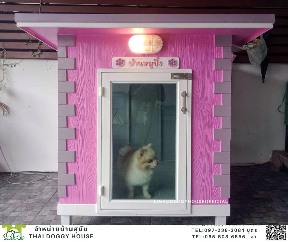 บ้านหมา