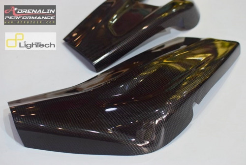 Lightech ครอบสวิงอาร์มคาร์บอน Carbon Fibre Swingarm Protection สำหรับ BMW S1000RR ปี 2011+