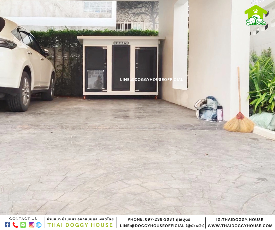 บ้านหมา 2 ประตู Box style