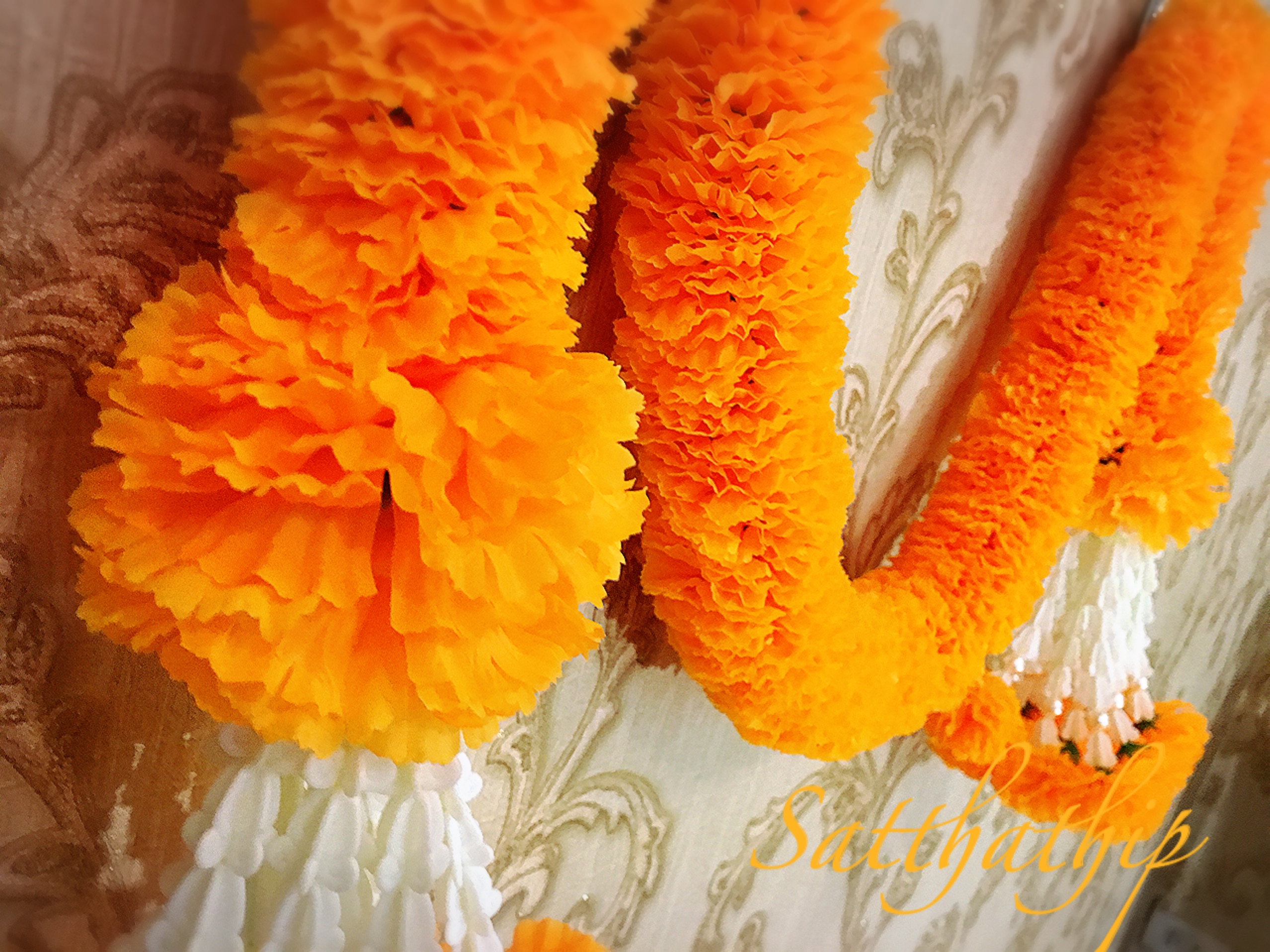 พวงมาลัยผ้าสองชาย [แบบตัดก้านดอกร้อยแน่น 400 บาท/เมตร]