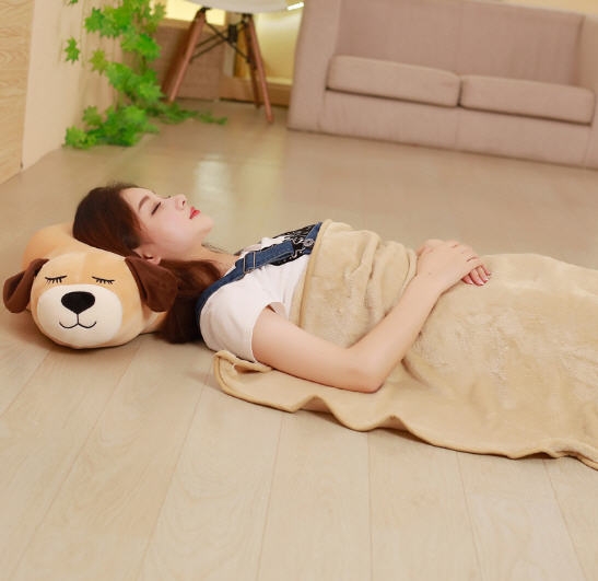 หมอนตุ๊กตาผ้าห่ม,หมอนตุ๊กตา,หมอนผ้าห่ม