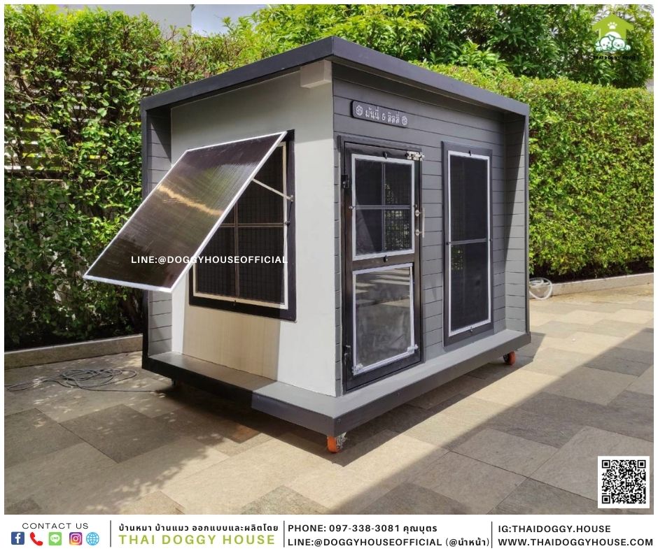 บ้านหมา Box style