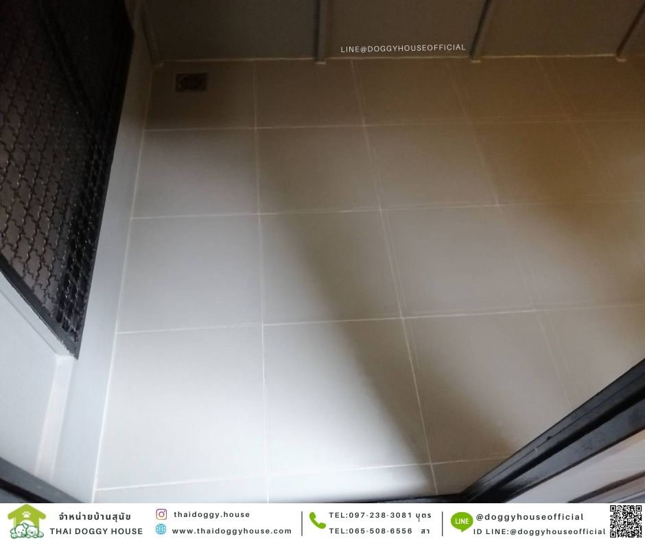 บ้านหมา