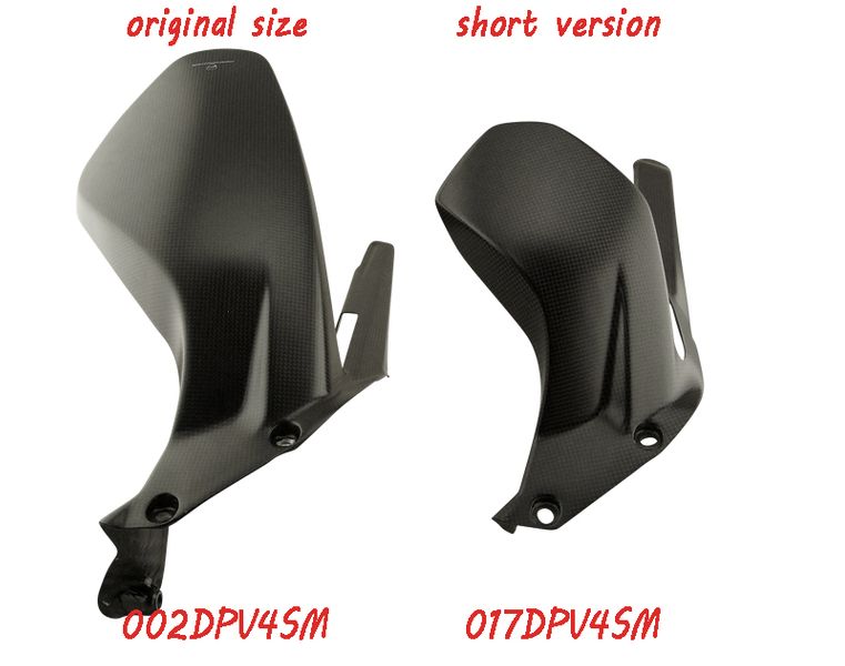 Carbonworld บังโคลนหลังคาร์บอน (Rear hugger carbon) สำหรับ Panigale V4
