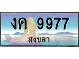 ทะเบียนรถ 9977 - งค 9977 - เลขสวยสำหรับรถคุณ ของพร้อมส่งมอบ จากกรมขนส่ง