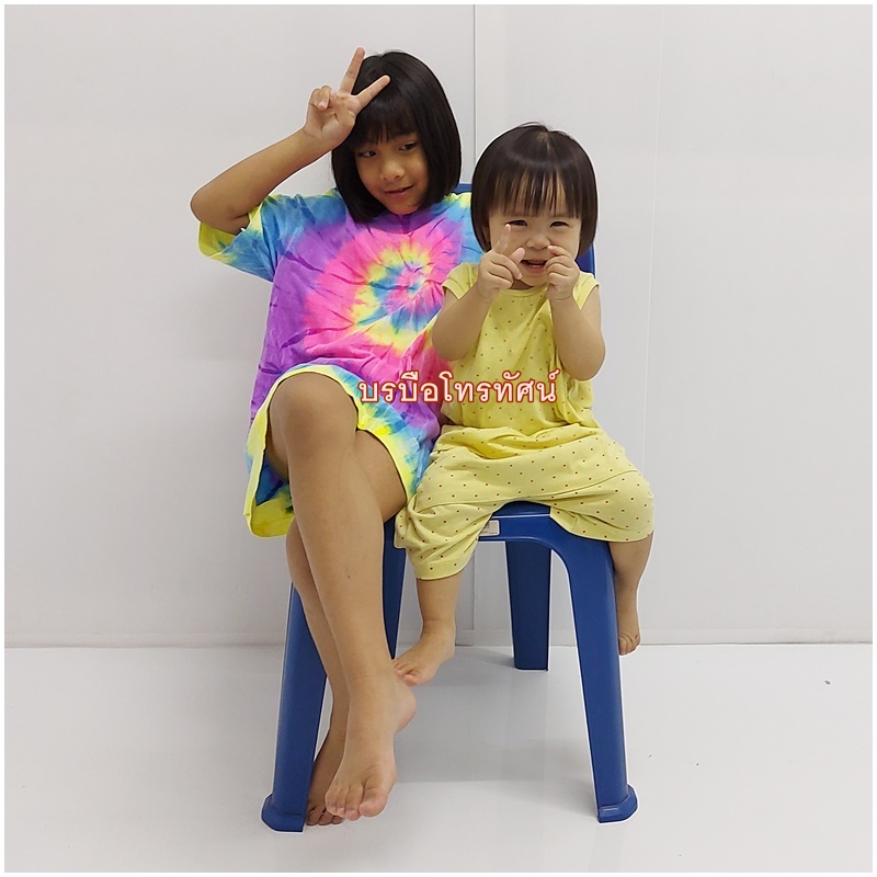 เก้าอี้ไม้ขาเหล็กคู่ เก้าอี้พนักพิงหลัง ราคาถูก เกรดA #เก้าอี้พลาสติก