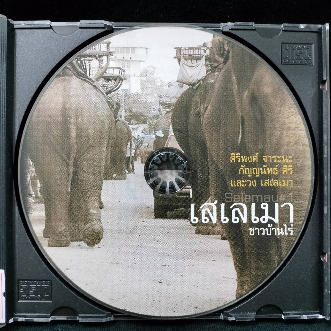 เสเลเมา - ชาวบ้านไร่ / แผ่นดี