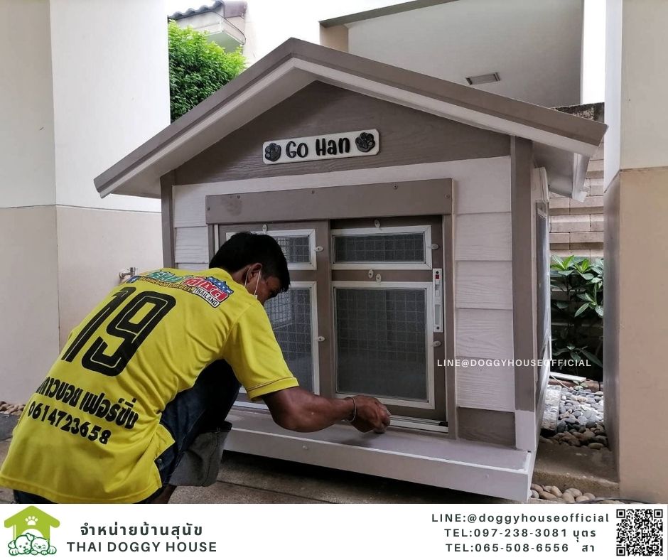 บ้านหมา