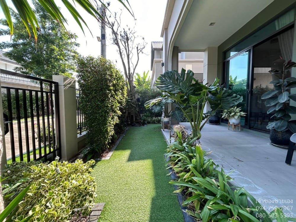 Bangkok Blue Lerwad Srinakarin-Bangna