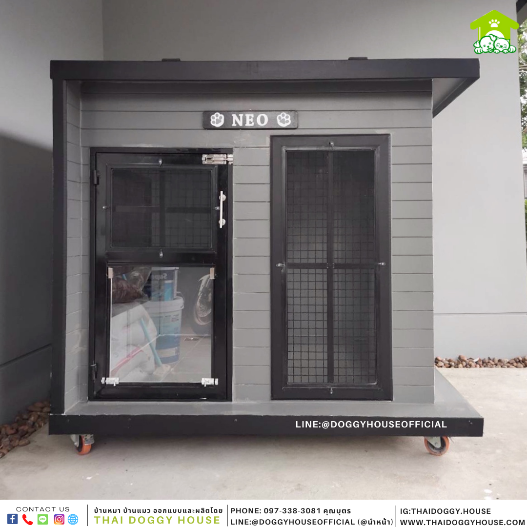 บ้านหมา แบบบ้าน Box Style