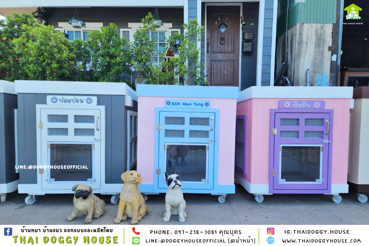 บ้านหมา ทรง 𝐁𝐎𝐗