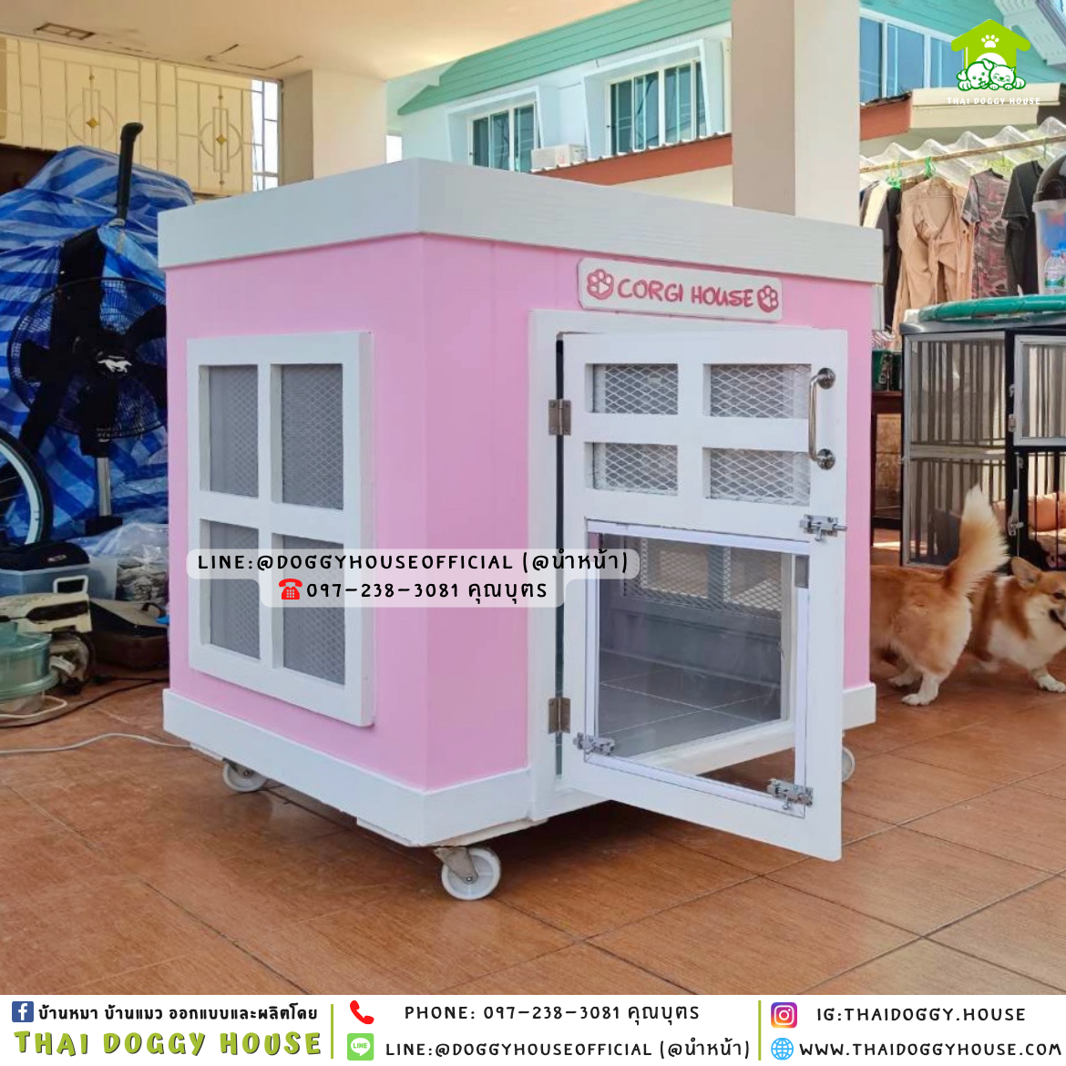 บ้านหมา มีมุ้งลวด + ตะแกรงเหล็ก ทรง 𝐁𝐎𝐗 𝐒𝐓𝐘𝐋𝐄