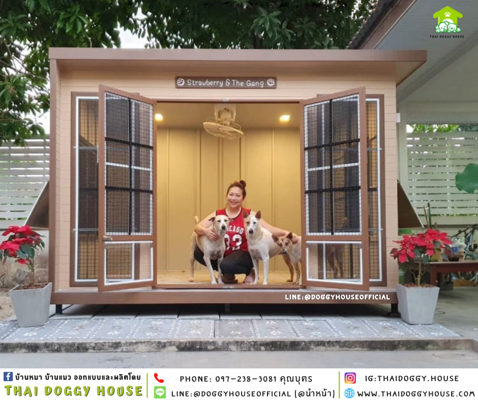 บ้านหมา แบบบ้าน BOX STYLE