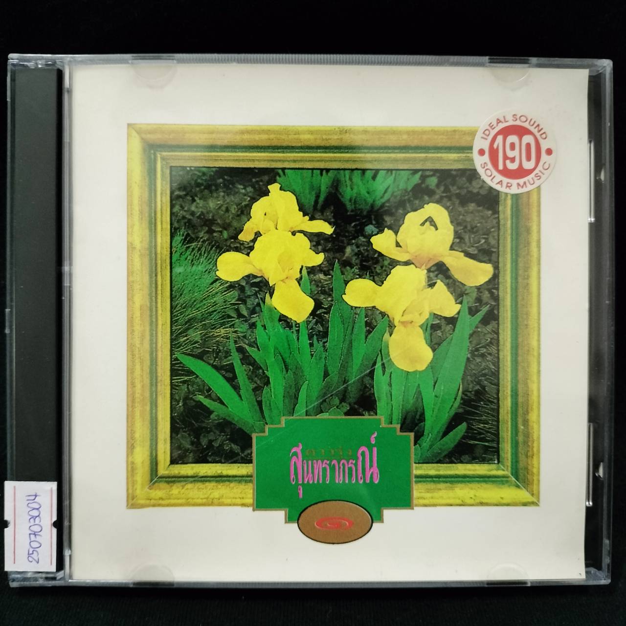 สุนทราภรณ์ – ดาวรุ่ง 1 / โค้ด P+O / แผ่นดี