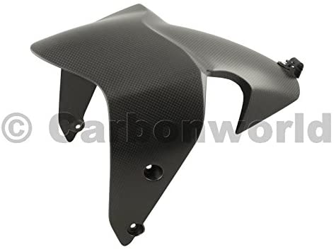 carbonworld บังโคลนหน้าคาร์บอน สำหรับ monster 821 2014+