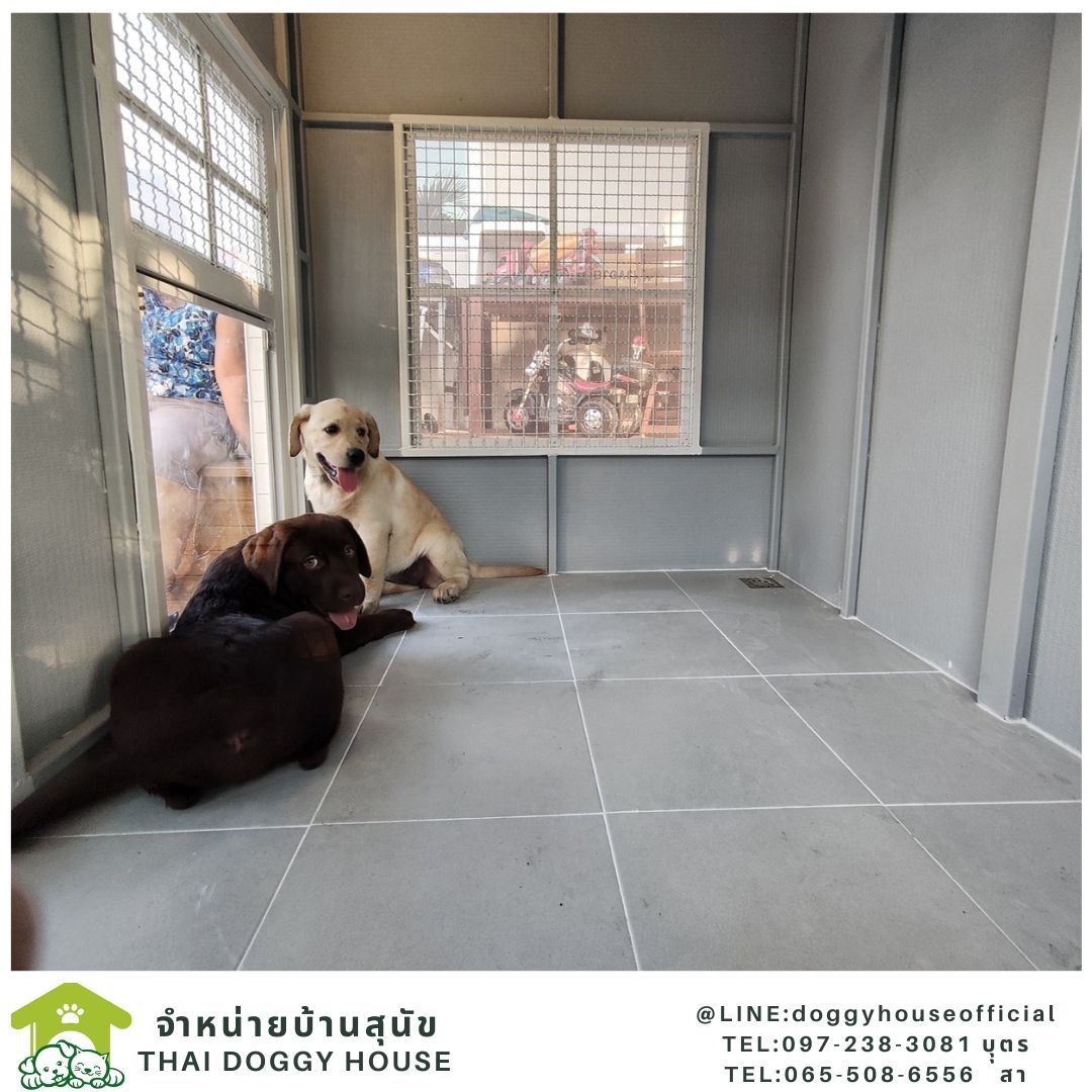 บ้านหมา รุ่นนิยม