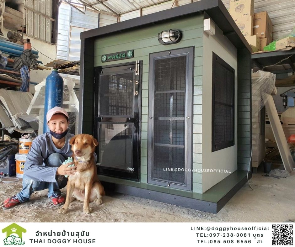 บ้านหมา