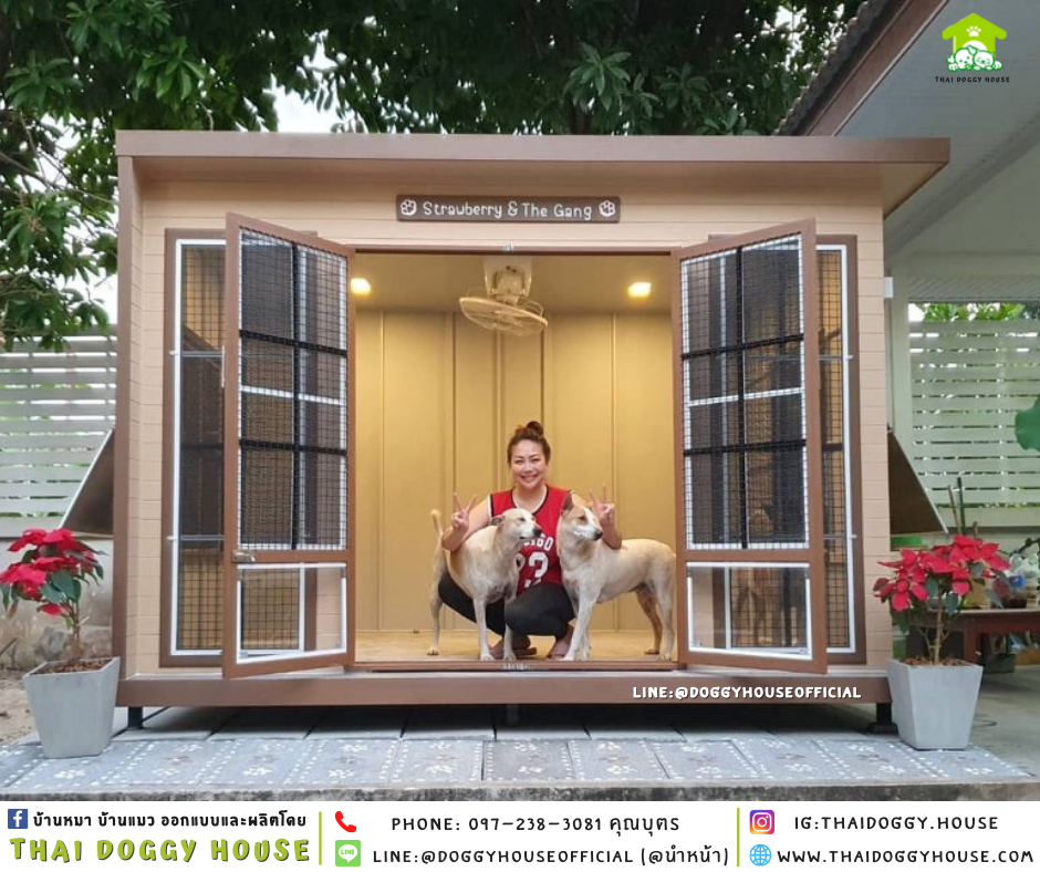 บ้านหมา แบบบ้าน BOX STYLE