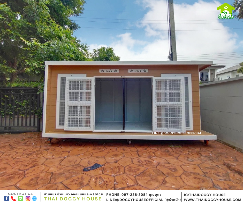 บ้านหมา หลังใหญ่ Box Style