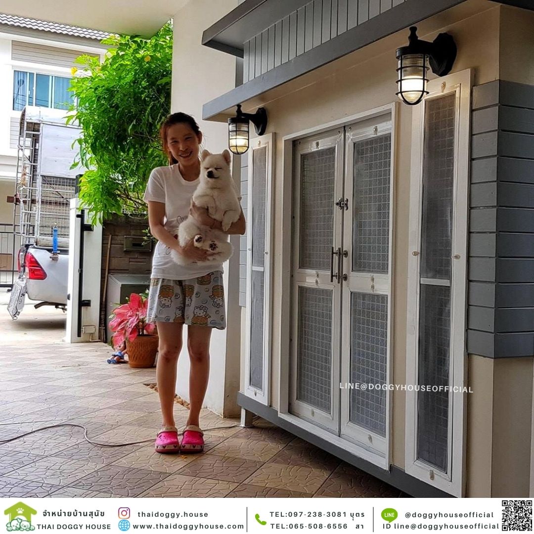 บ้านหมา