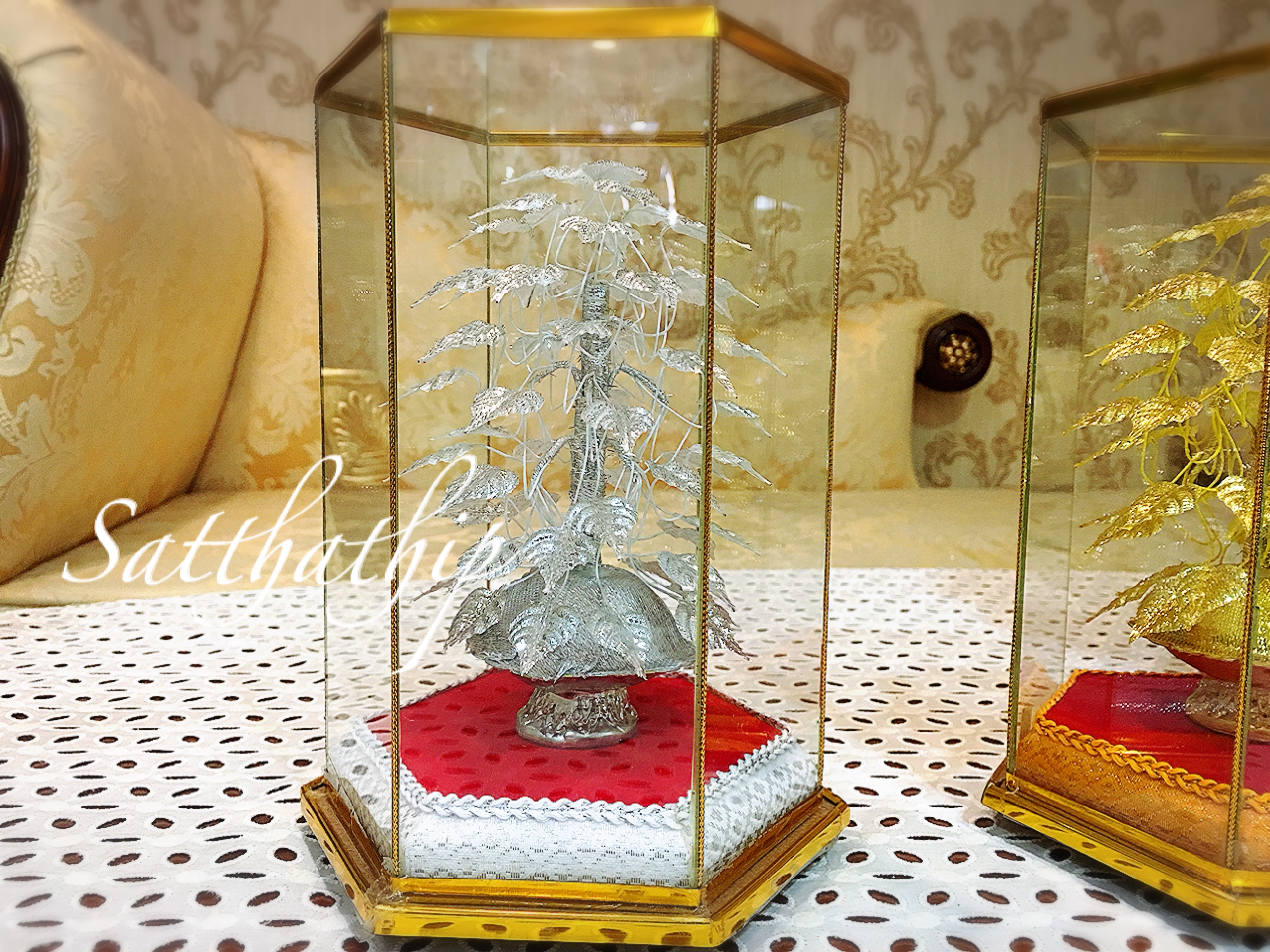 ต้นโพธิ์เงิน โพธิ์ทอง