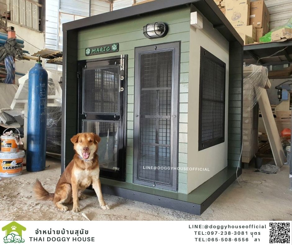 บ้านหมา