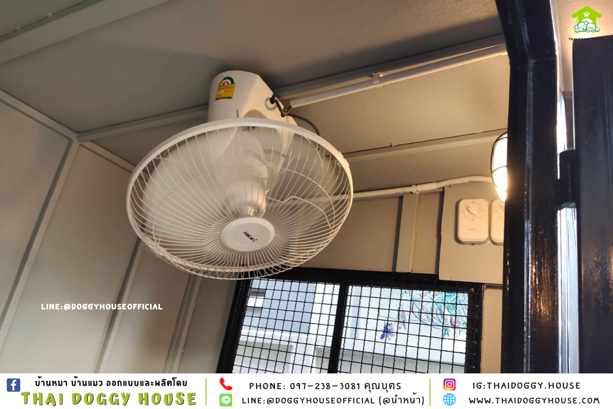 บ้านหมา แบบบ้าน 𝐁𝐎𝐗 𝐒𝐓𝐘𝐋𝐄