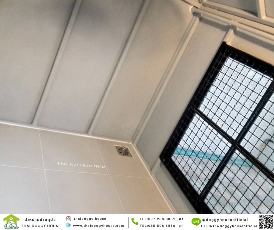 บ้านหมา ทรงNordic