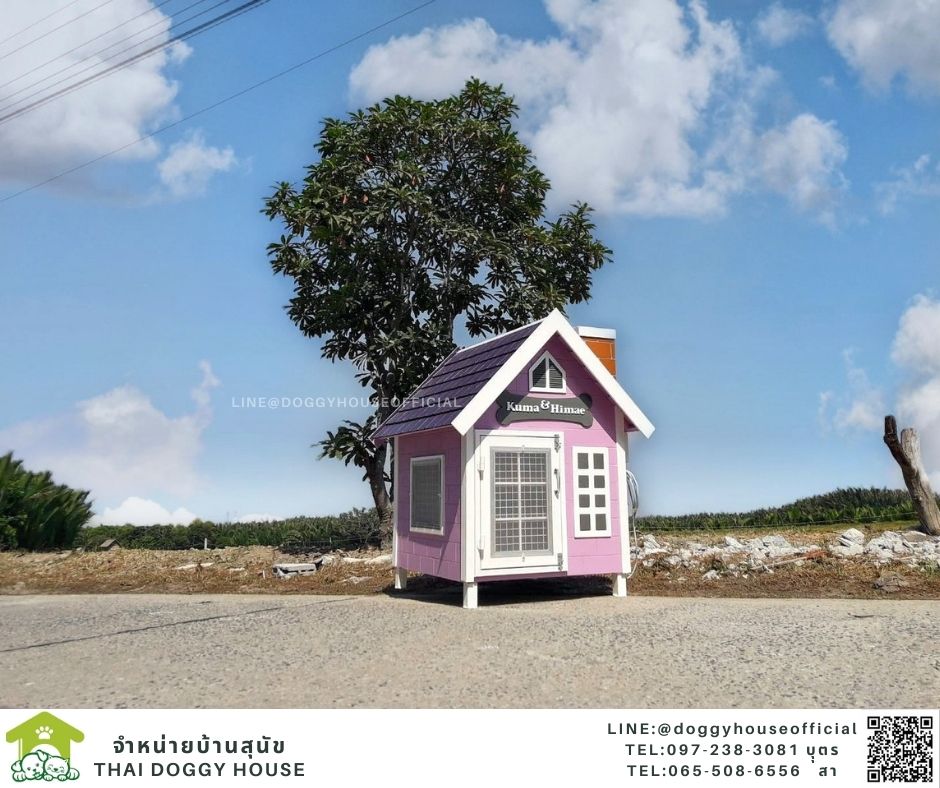 บ้านหมา รุ่นจิ๋ว