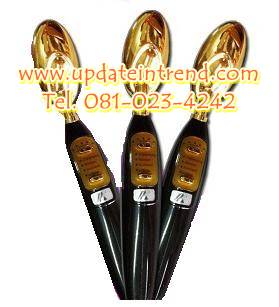 เครื่องนวดหน้าช้อนทอง Golden Spoon Beauty Face รุ่น SD-070G