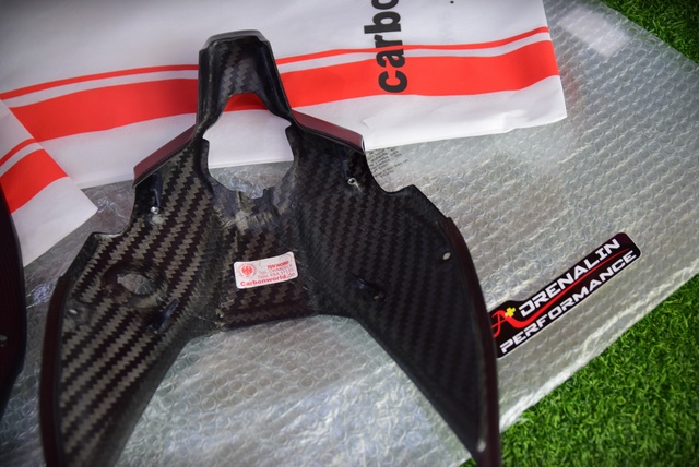 Carbonworld อันเดอร์เทล คาร์บอน สำหรับ Panigale V4