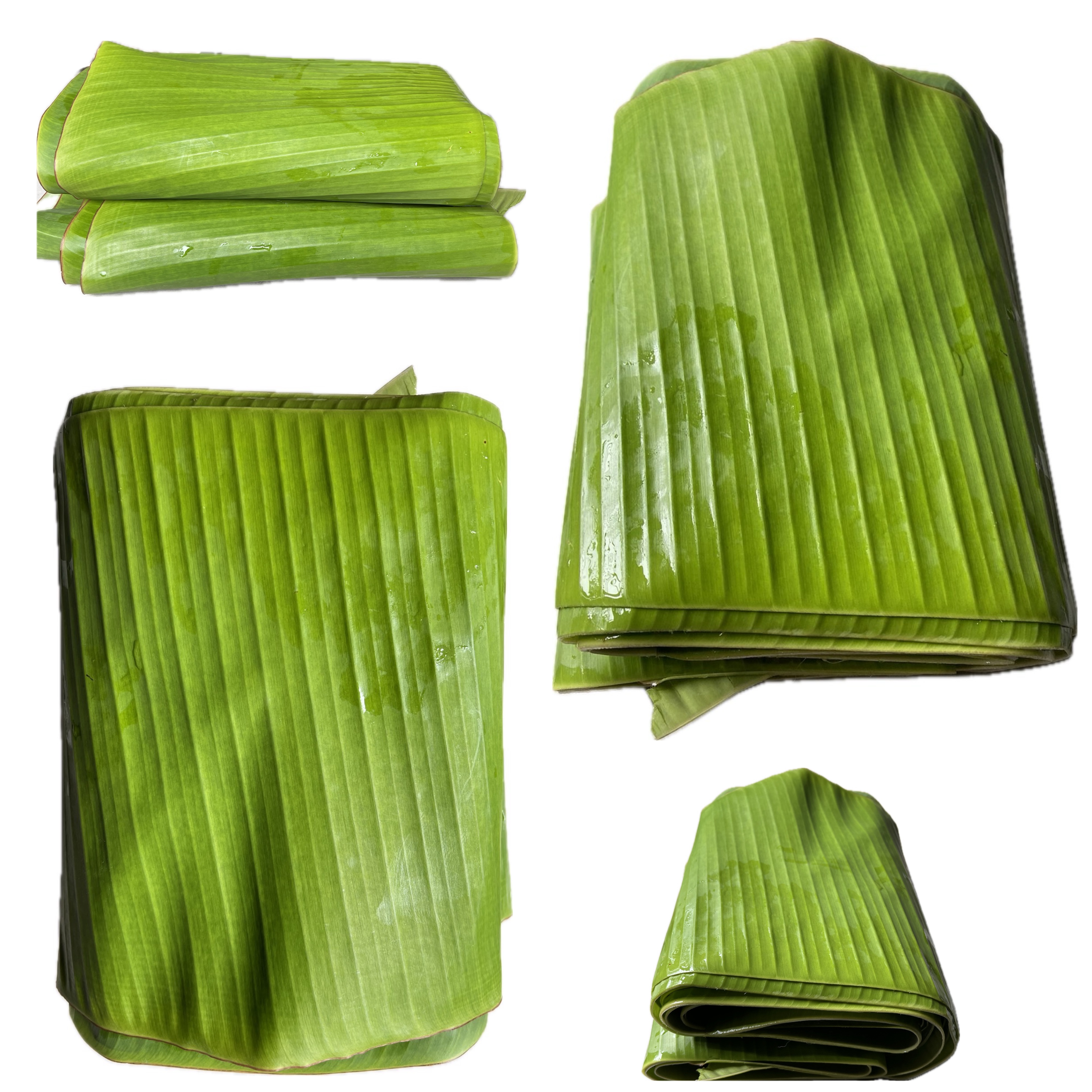 ใบตองสดกล้วยน้ำว้าอินทรีย์(Bunyaporn Organic Farm) 1 kg