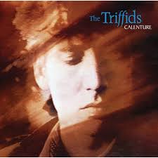 The Triffids – Calenture / ไม่ระบุ / ปกมีจุดเหลือง / แผ่นทะลุขอบ(ไม่โดนเนื้อแผ่น) / แผ่นดี