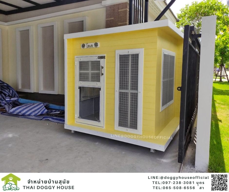 บ้านหมา รุ่นยอดฮิต